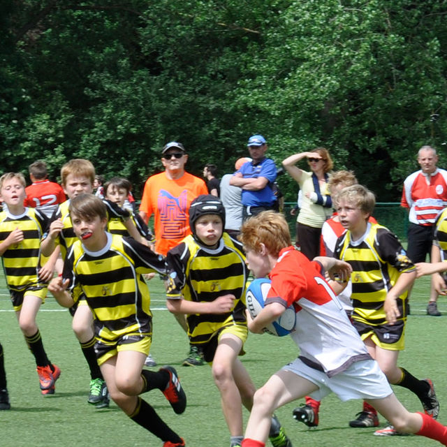 Rugby Top 14
