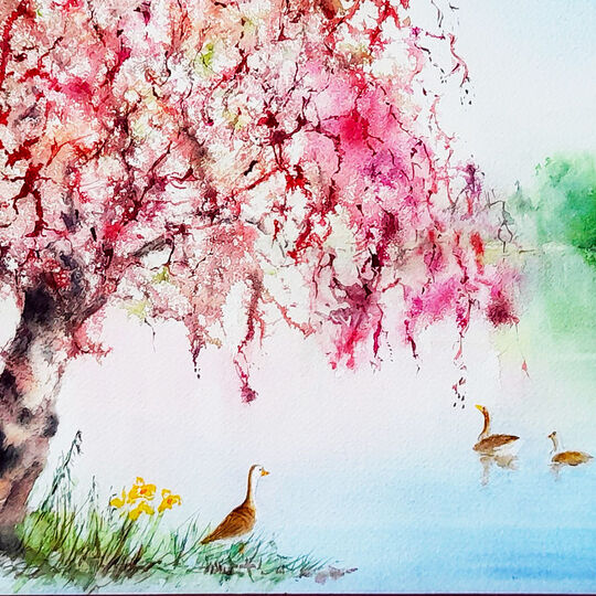 Exposition de peinture aquarelle : Claudine Somson 