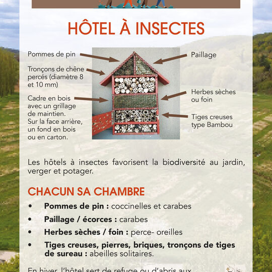 Conseils de Julien - Hôtel à insectes