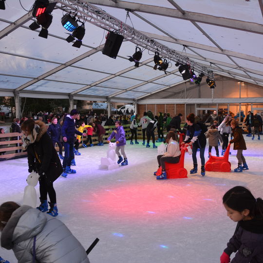 Giffois qui font du patin à glace au Marché de Noël 2019