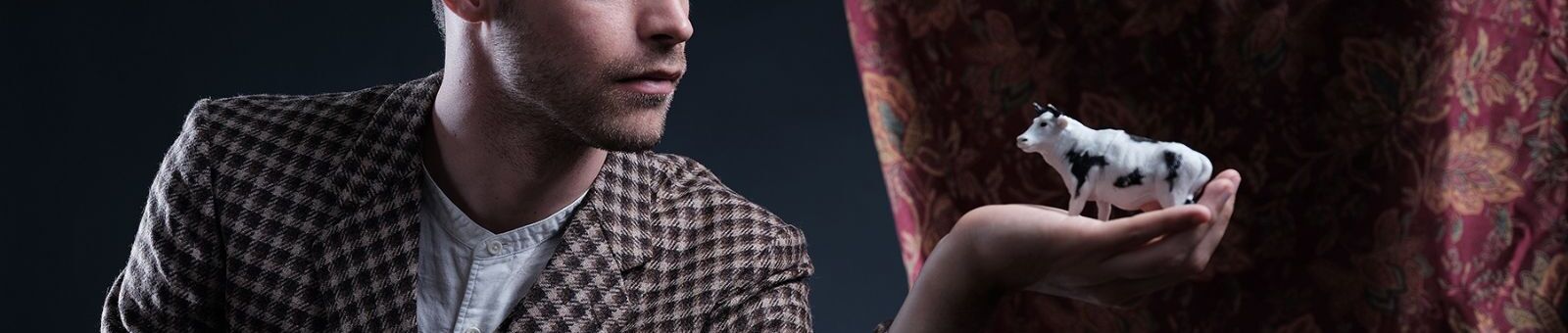 Théâtre : Meuh ! d'après le romande François Morel 