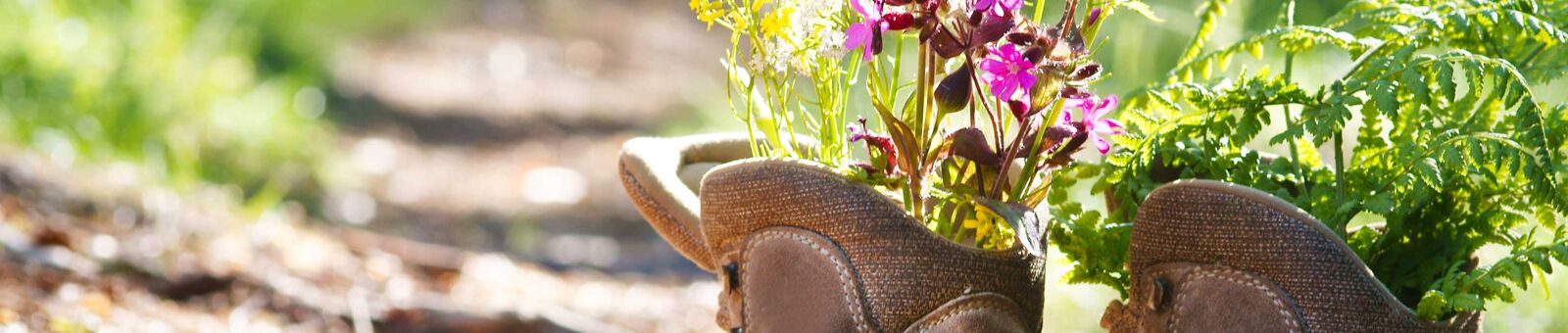 Des fleurs sortent de chaussures de randonnées placées sur un chemin