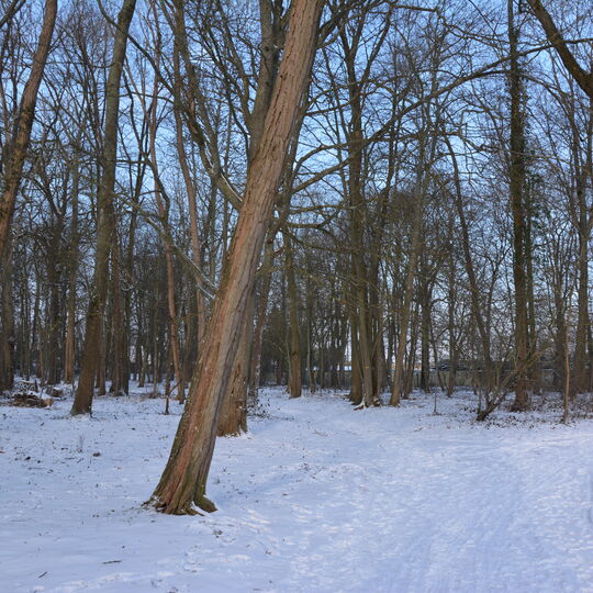 Parc de Belleville