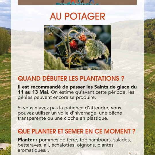 Conseils de Julien - Potager