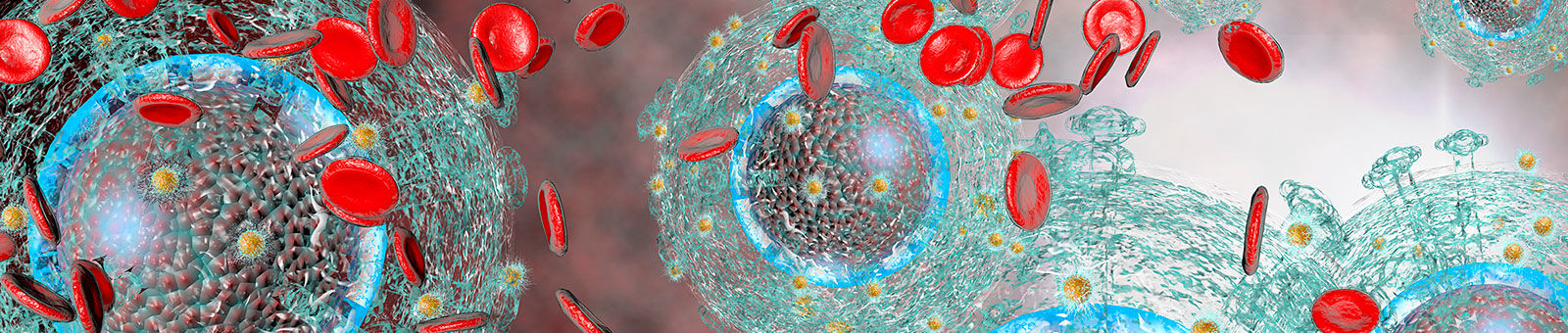 Virus VIH.