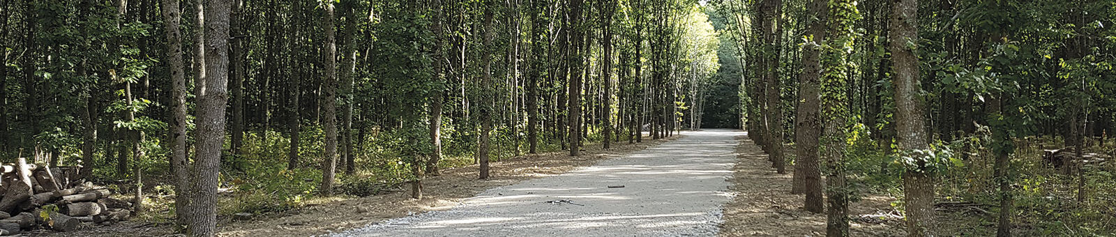 Entretien de le Bois de la Hacquinière par l'ONF