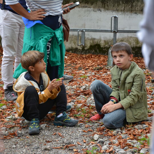 Balade botanique