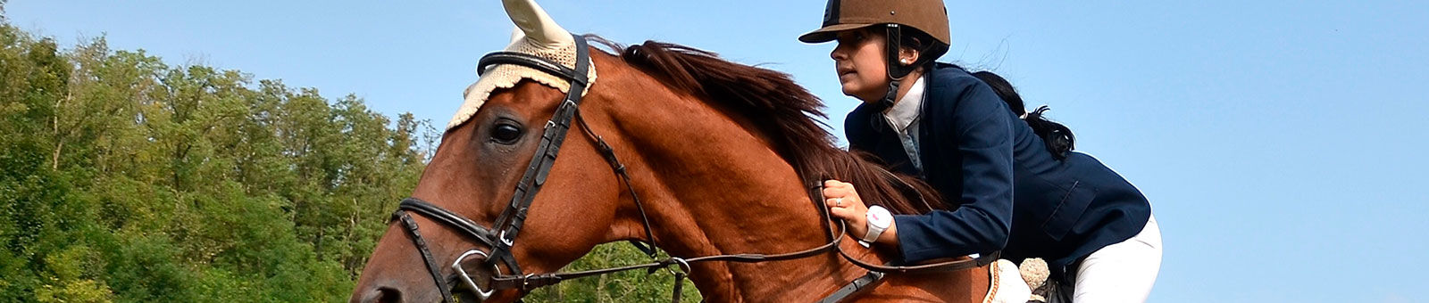 Équitation à la Grange-Martin à Gif-sur-Yvette.