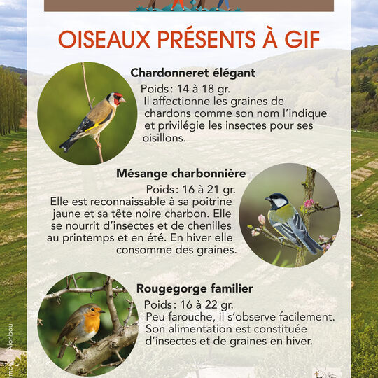 Conseils de Julien - Oiseaux