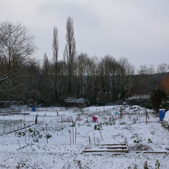 Potager (Centre-ville)