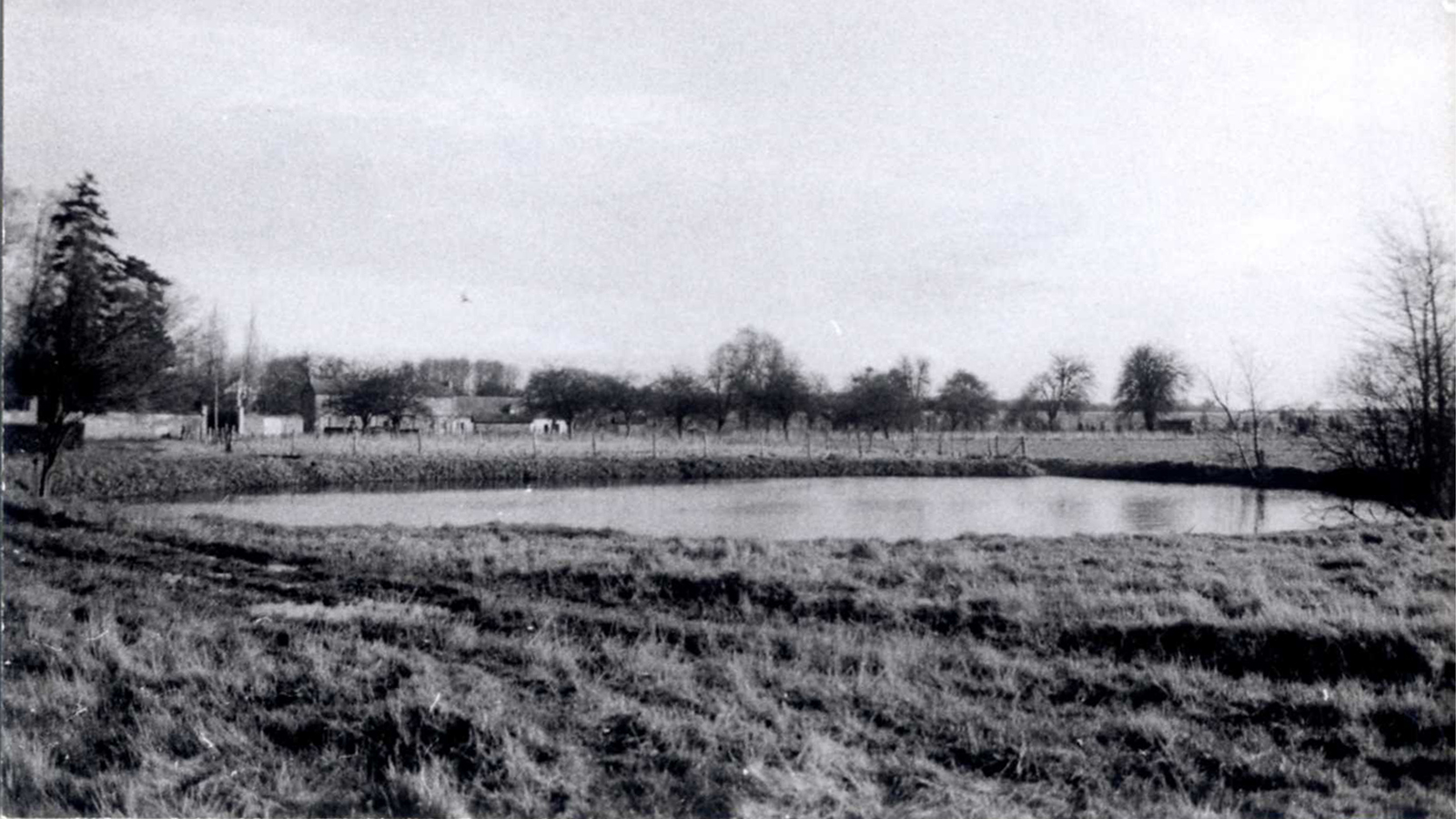 Avant Chevry: mare du côté du château de Belleville, 1970