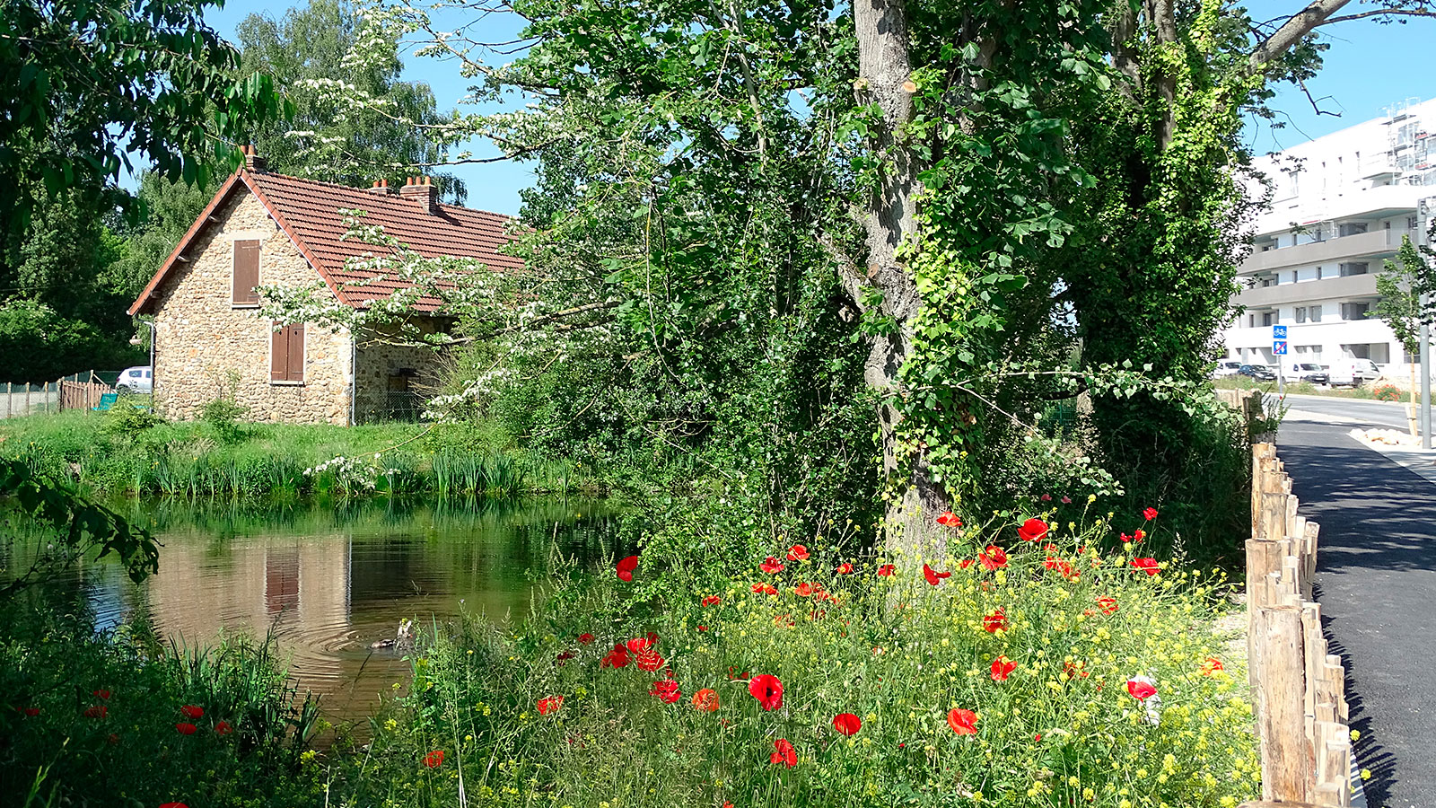 Ferme de Moulon - Vue d'ensemble 